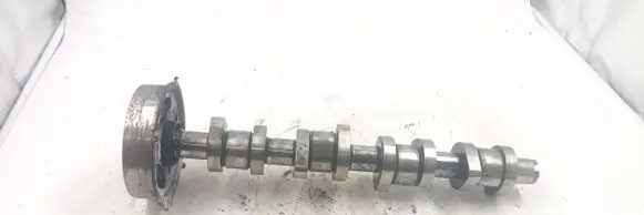 Skoda Octavia Mk1 (1U) Camshaft 4516gbl91r