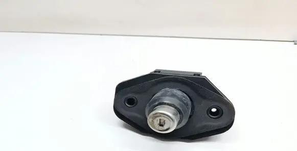 BMW 7 F01 F02 F03 F04 Tailgate exterior lock 7194181 51247194181