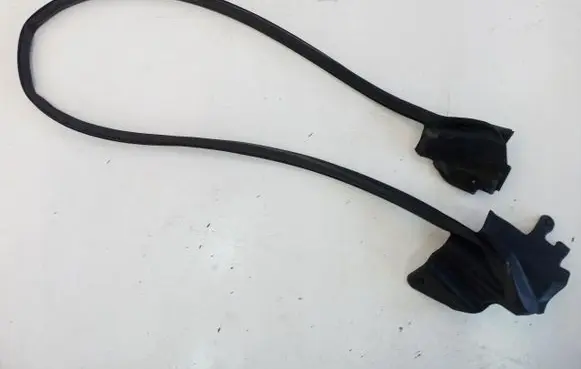 Tesla Model S Front door rubber seal 17305267940