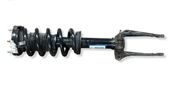Dodge Charger Front shock absorber with coil spring P68224774AC