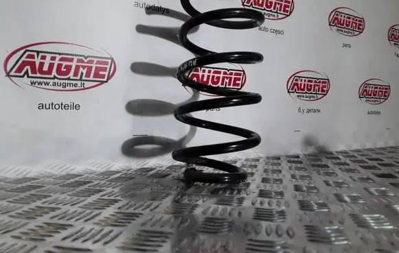 Front coil spring