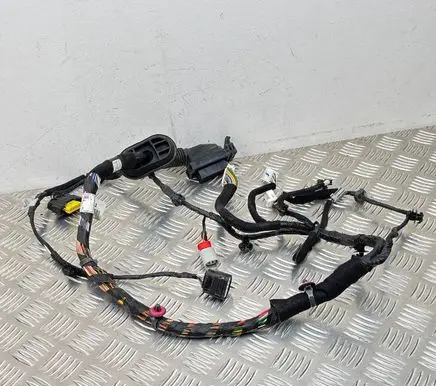 Hyundai Kona I Front door wiring loom 91600J9310