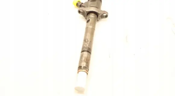 Citroen C4 I Fuel injector 0445110297