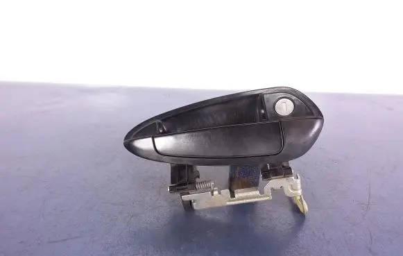 Fiat Punto (199) Front door exterior handle