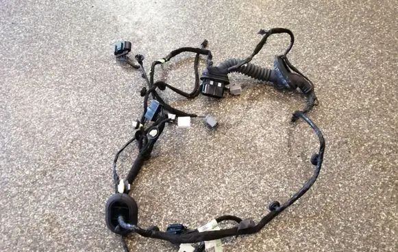 Rear door wiring loom