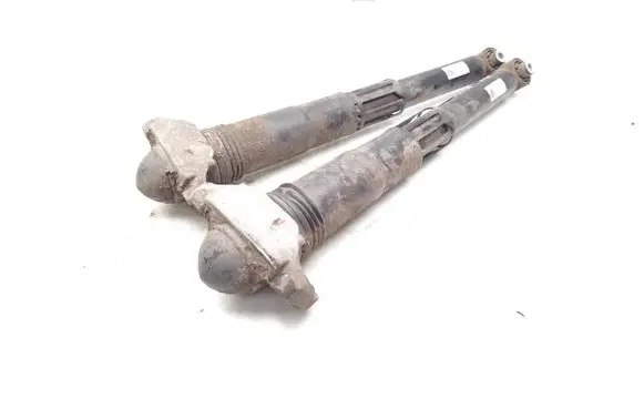 Volkswagen ID.3 Rear shock absorber/damper 1EA512011AD