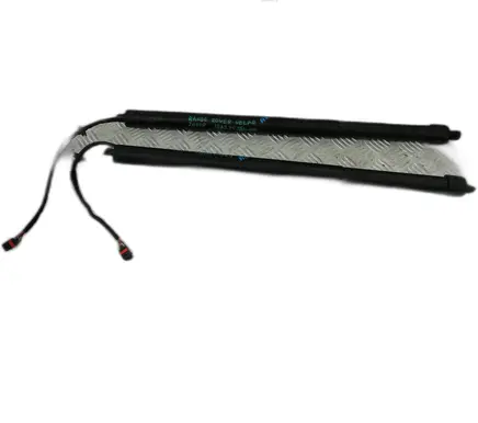 Tailgate strut
