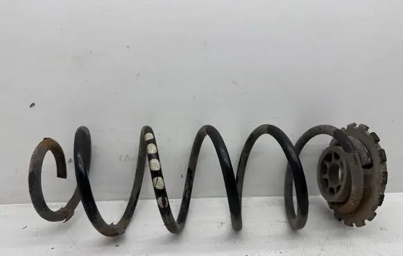 Rear coil spring