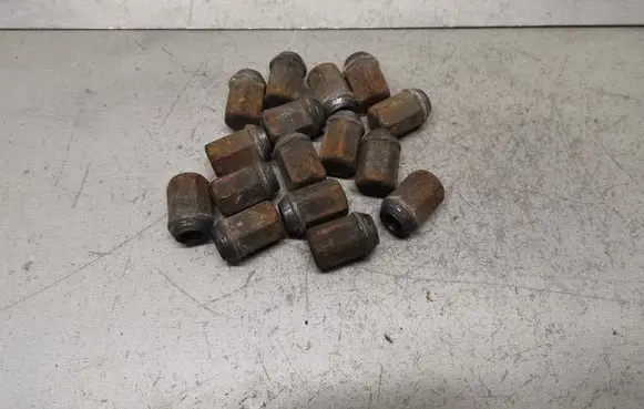 Nuts/bolts