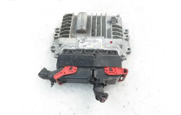 Hyundai i20 (PB PBT) Engine control unit/module 391302A050
