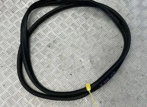 Renault Kangoo III Front door rubber seal 