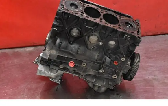 Suzuki Grand Vitara II Engine block F9QB266