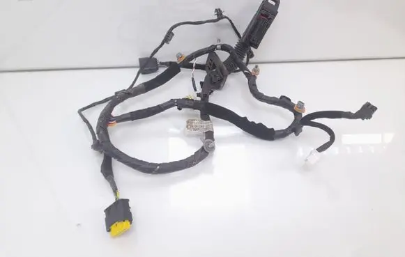 Front door wiring loom