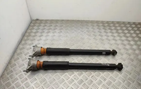 Rear shock absorber/damper