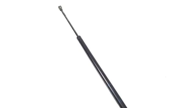 Tailgate strut