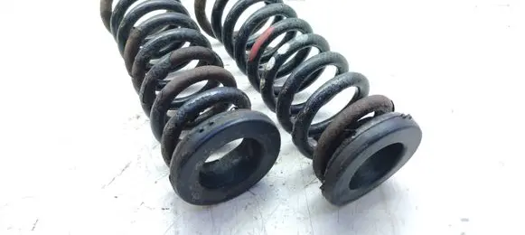 Mercedes-Benz S W140 Rear coil spring A1403250284
