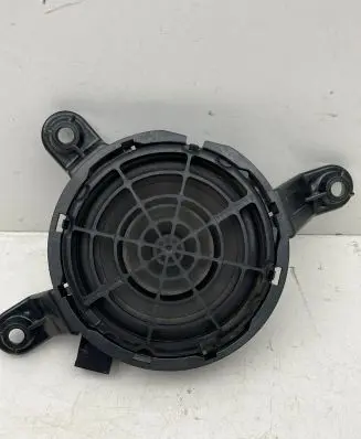 Rear door speaker