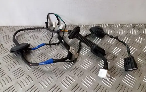 Rear door wiring loom