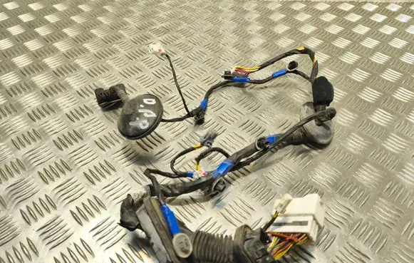 Hyundai Sonata Front door wiring loom 199803K030 916103K130