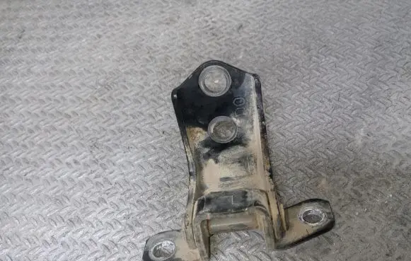 Mazda CX-7 Rear door lower hinge