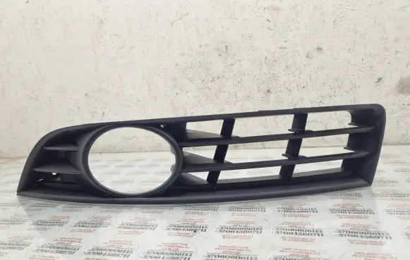 Volkswagen PASSAT B6 Front bumper lower grill 3C0853665A