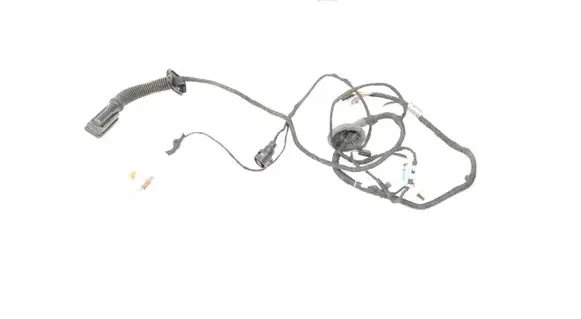 Front door wiring loom