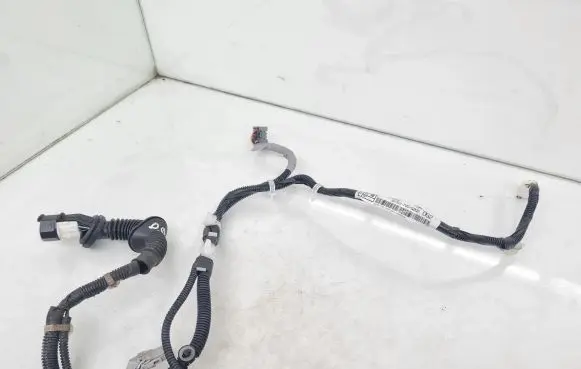 Rear door wiring loom