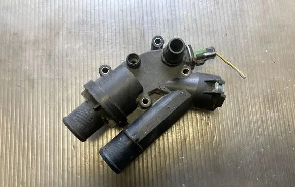 Thermostat/thermostat housing