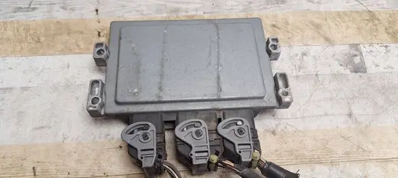 Engine control unit/module