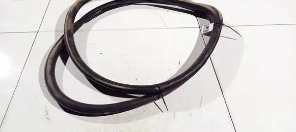 Opel Insignia A Rubber seal front coupe door 