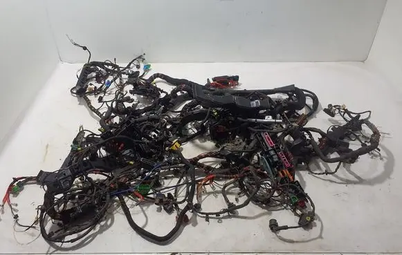Porsche Panamera (971) Wiring harness 97161290100