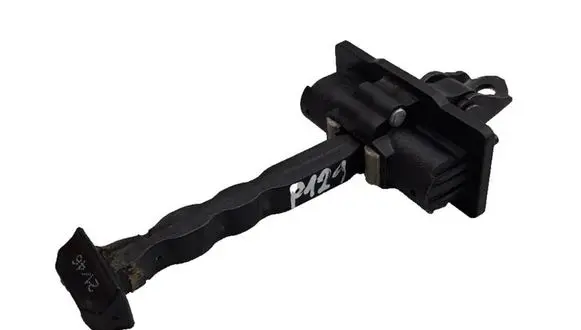 DS Automobiles 3 Crossback Rear door check strap stopper 9820816280
