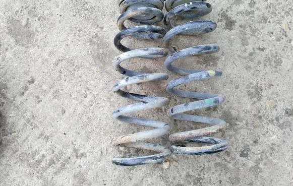 Hyundai Sonata Rear coil spring
