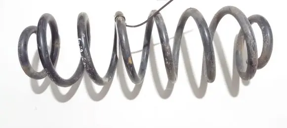 Volkswagen Golf V Rear coil spring