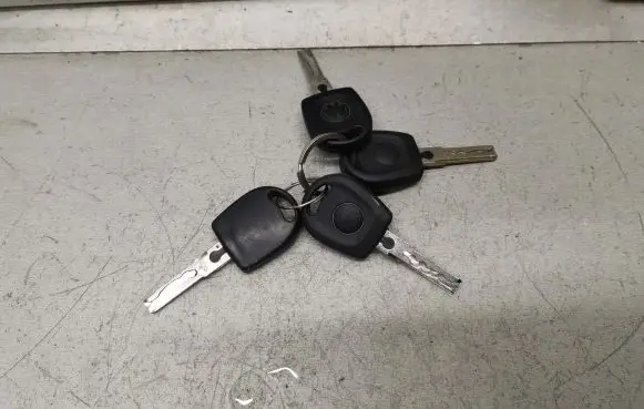 Volkswagen Golf IV Ignition key/card 