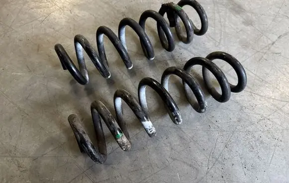 Rear coil spring