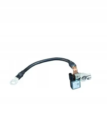Mercedes-Benz E W212 Negative earth cable (battery) A0009056702