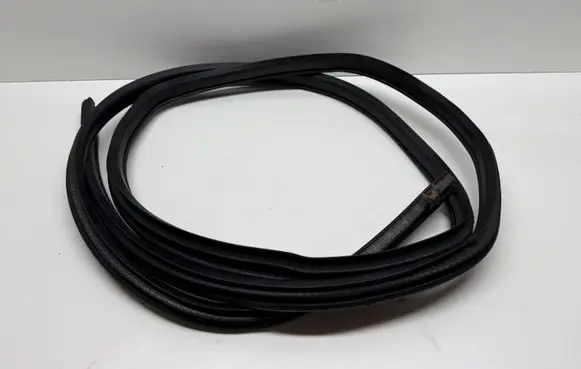 Nissan Qashqai Rear door rubber seal (on body) 6003491