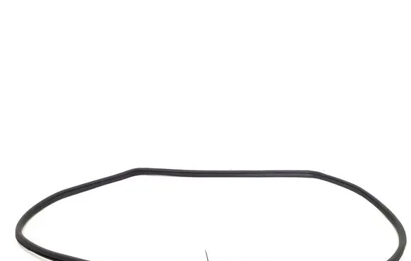 Toyota Verso Front door rubber seal 623110F020