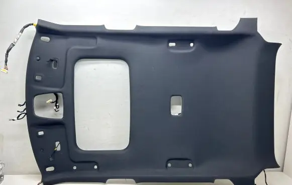 KIA EV6 Headlining 85411CV000 85400CV360 CV1010161