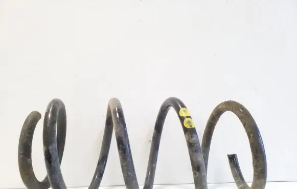 Front coil spring