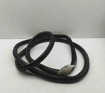 Skoda Enyaq iV Rubber seal front door (on door) 5LA867912B
