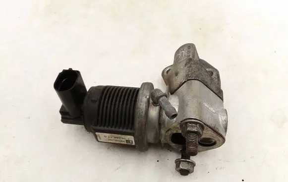 Volkswagen Golf V EGR valve 036131818