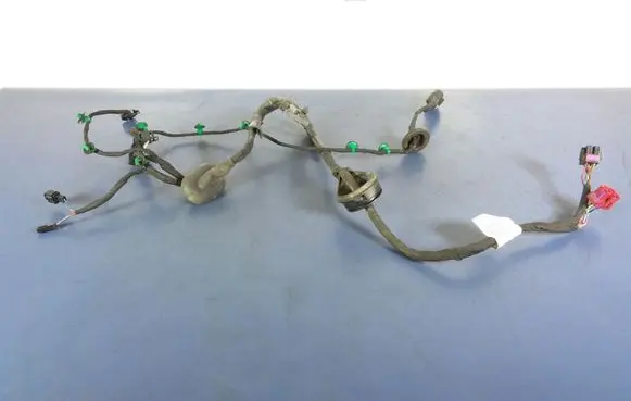 Volkswagen Phaeton Other wiring loom 3D1971120