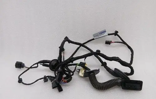 Lamborghini LP 640-4 Front door wiring loom/harness boot 4T1971029E