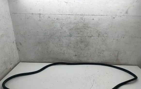 BMW 3 F30 F35 F31 Trunk rubber seal (body)