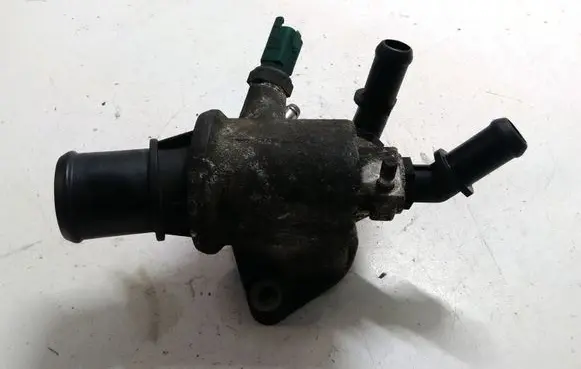 Thermostat/thermostat housing