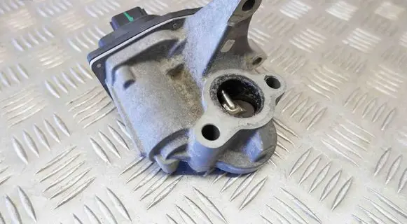 EGR valve