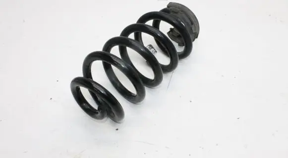 Cupra Born Rear coil spring 1EA511103Q