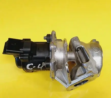 Citroen C4 I EGR valve 002472096